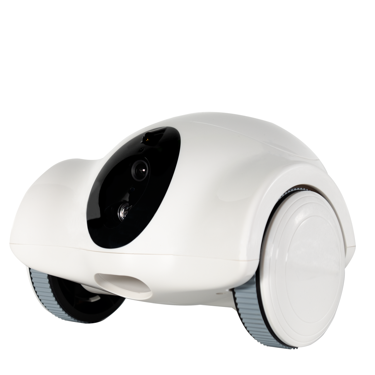 Moving Pet Robot with Camera, Feeding and Playing