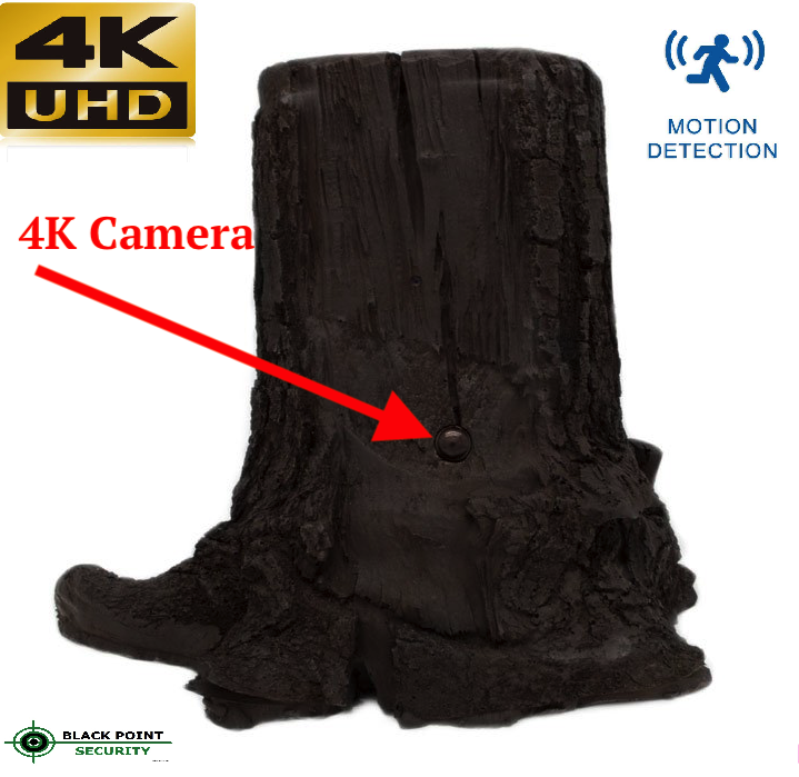 Tree Stump 4K Hidden Outdoor Camera